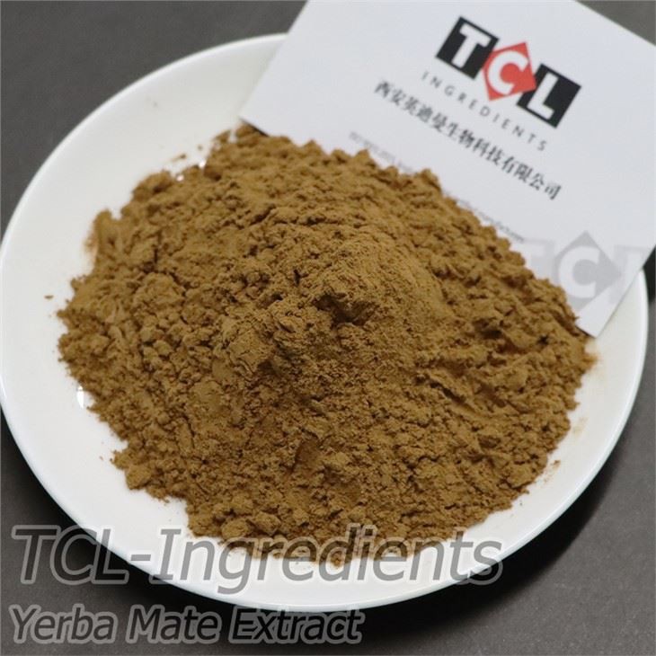 প্রাকৃতিক Yerba মেট নির্যাস